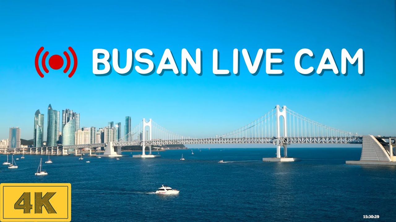 [Live] 부산 라이브캠 4K 생중계🔴 광안리 라이브 광안대교 실시간 방송  Busan Live Cam Korea