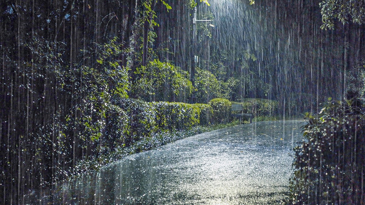 Anxiety Relief & Tinnitus Relief | The Only Rain Sounds You Need for Sleep, Relaxing ASMR
