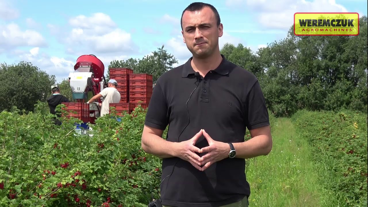 #Videoblog Why WEREMCZUK 
