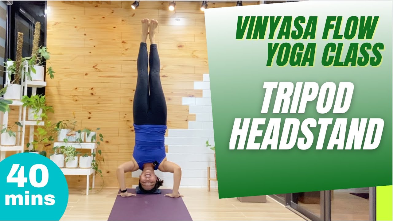 Vinyasa Flow Tripod Headstand | Inversions yoga practice | Flow to tripod headstand