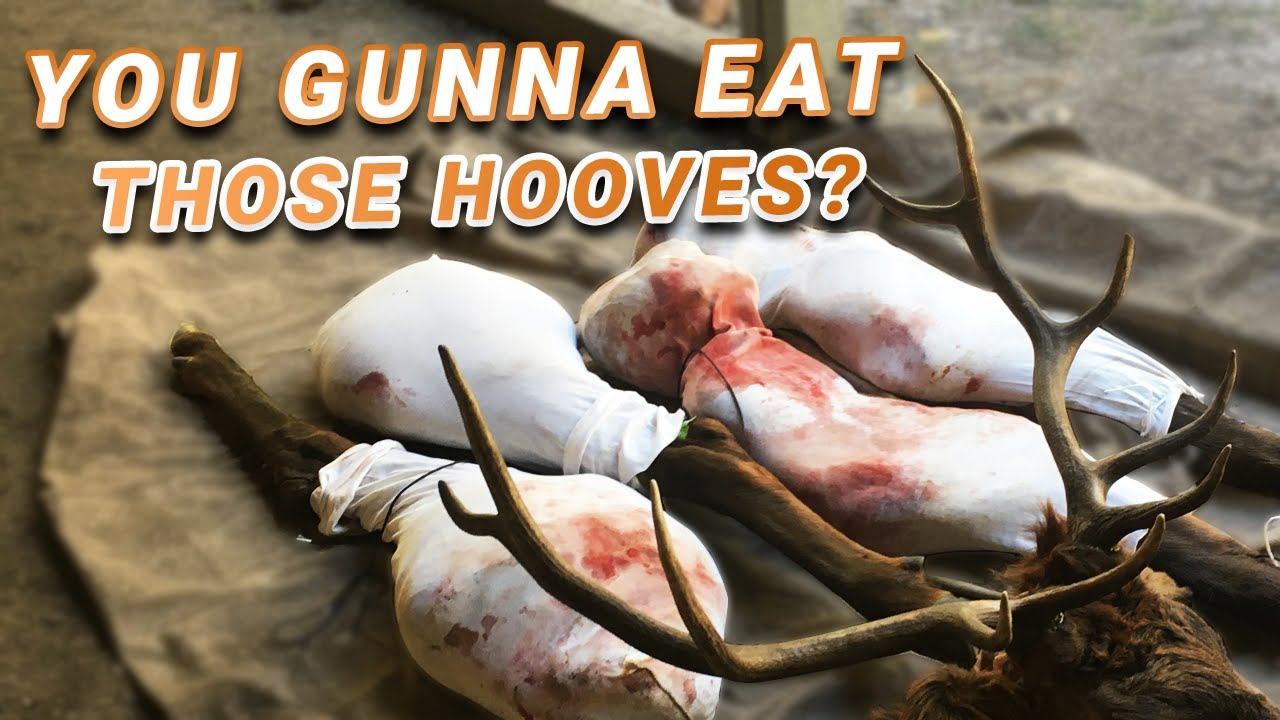 WILD GAME Field Care - Tips Based on A Decade of Packing Out ELK MEAT