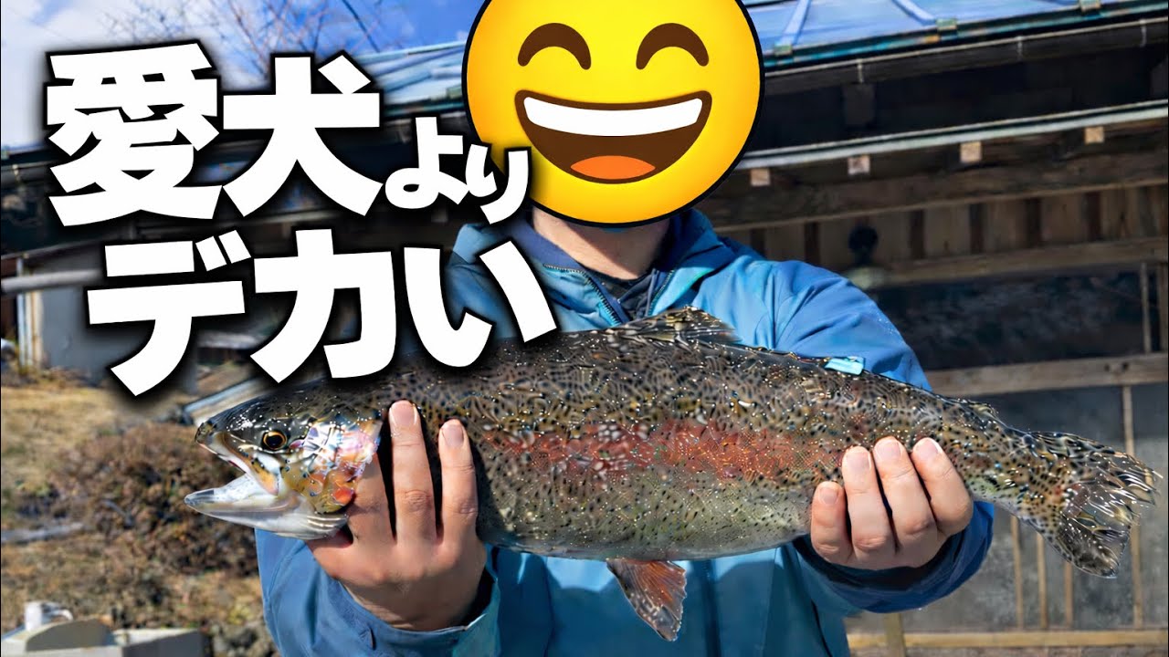 これは犬にあげていいサイズじゃない！【釣り場恵比寿】【エリアトラウト】【管理釣り場】