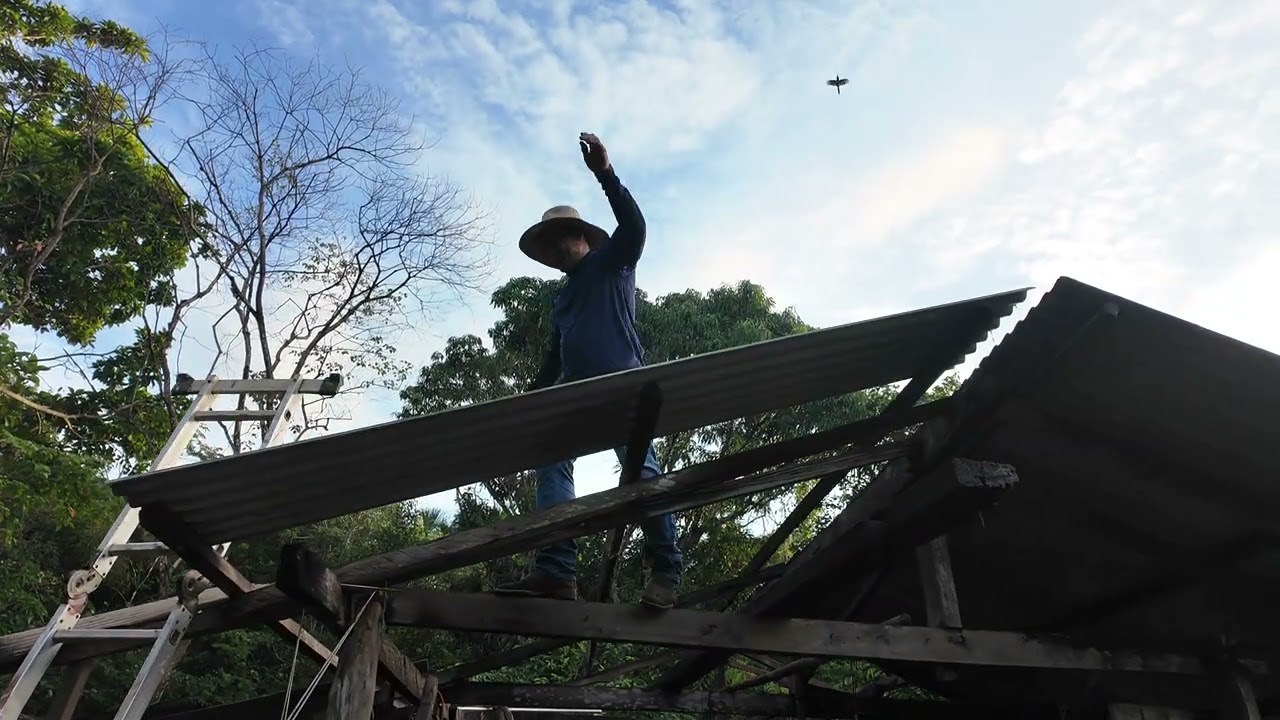 “Sábado no Sítio: Dia de Reforma, Mãos à Obra e Galinheiro Renovado” 🐓🔨