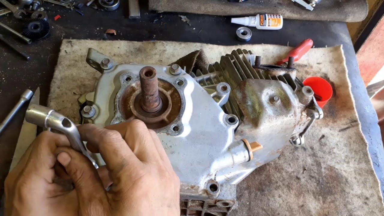 Como fazer revisão motor 5.5hp Branco