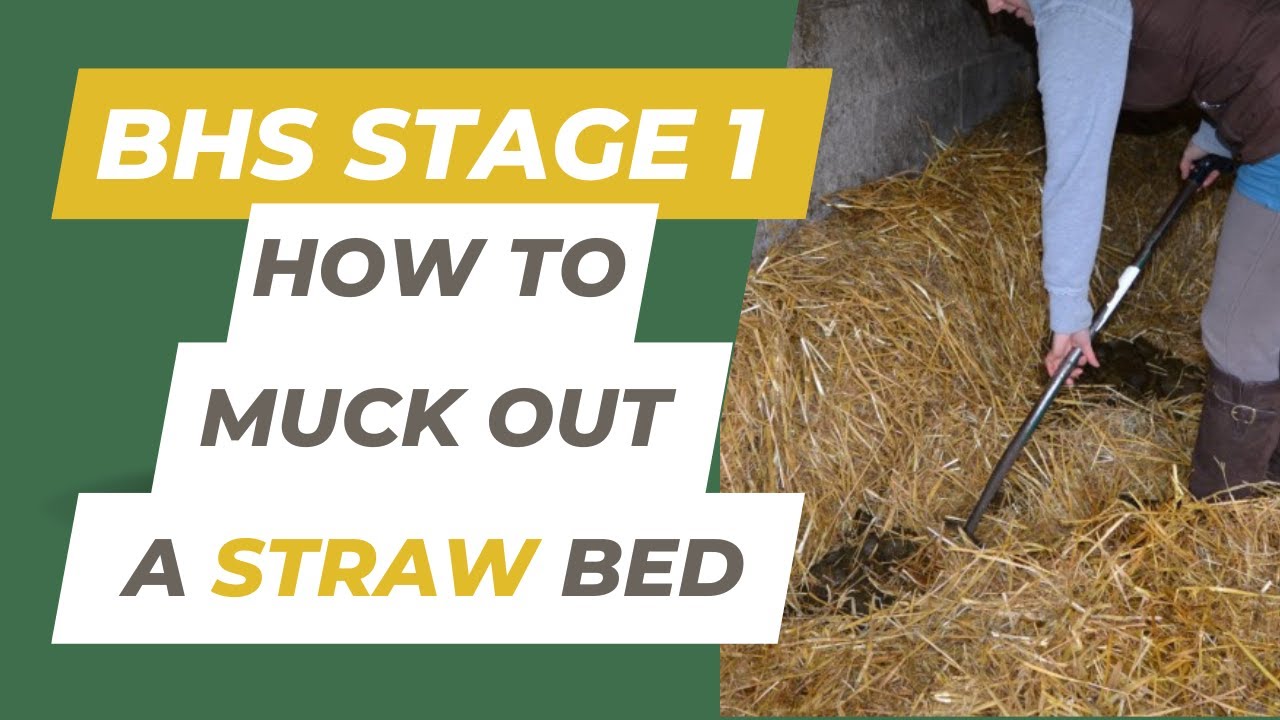 BHS Stage 1: How To Muck Out a Straw Bed