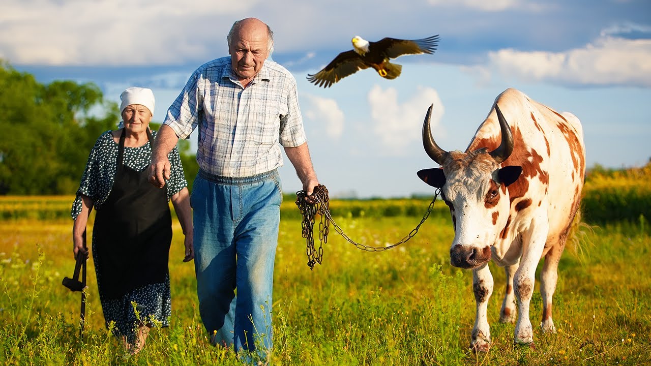 70-Year-Old Farm Owners | They Run Their Farm Like It's 1850
