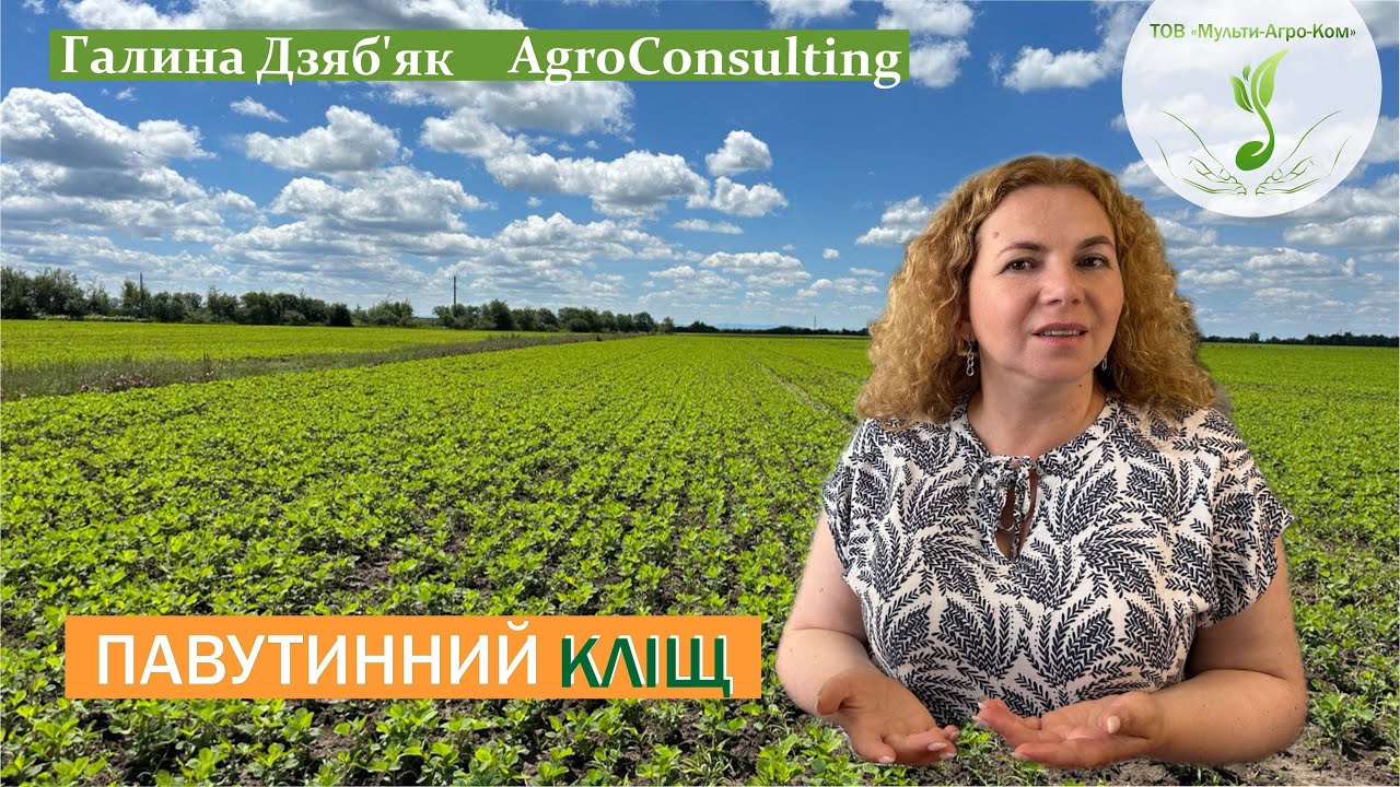 Павутинний кліщ: соя, соняшник, кукурудза. Основні принципи захисту