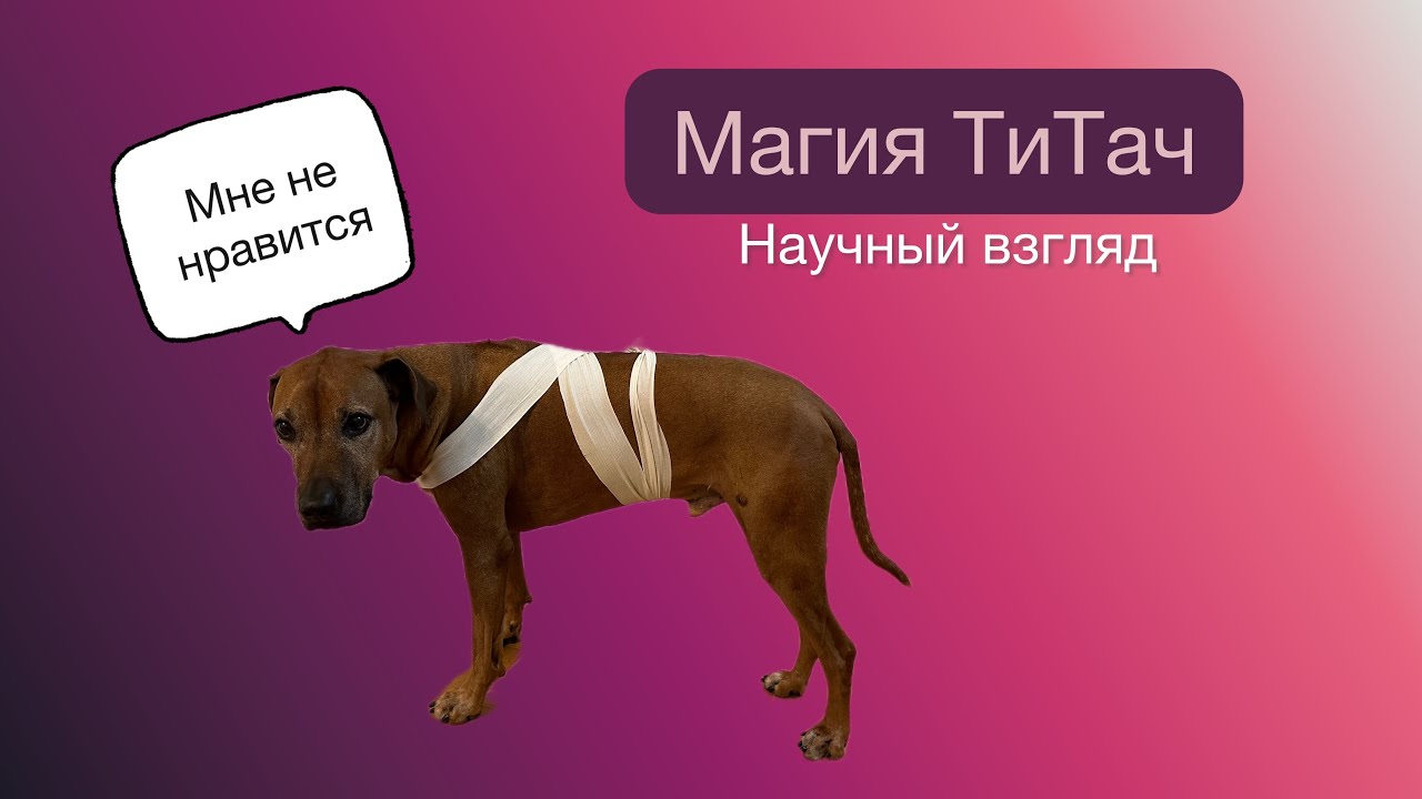 Магия ТиТач