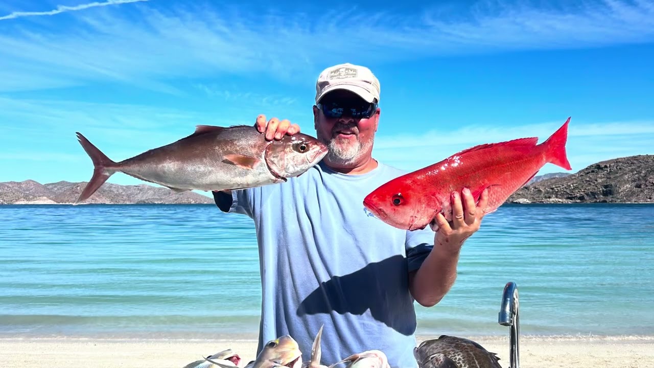 Playa El Coyote, Mulege Baja California Sur 2025/2026