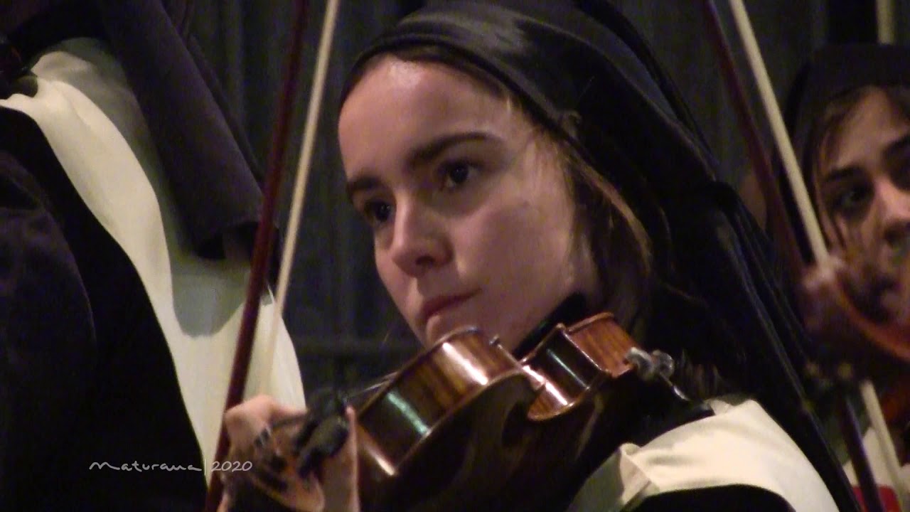 SONIDOS MARRAJOS