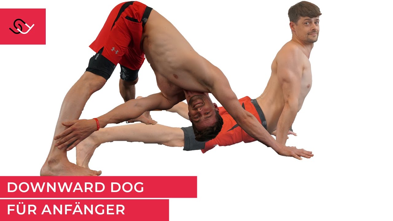 Movement für Anfänger - Herabschauender Hund - Heraufschauender Hund
