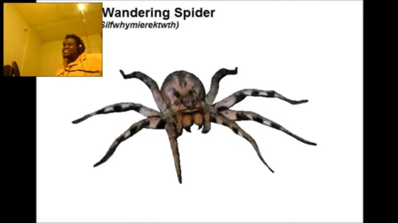 DustDaRapper React: GradeAUnderA-Phobias(Explicit)