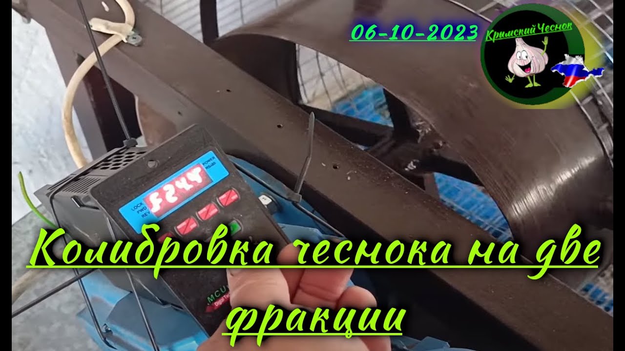 Калибровка зубков чеснока 2023г