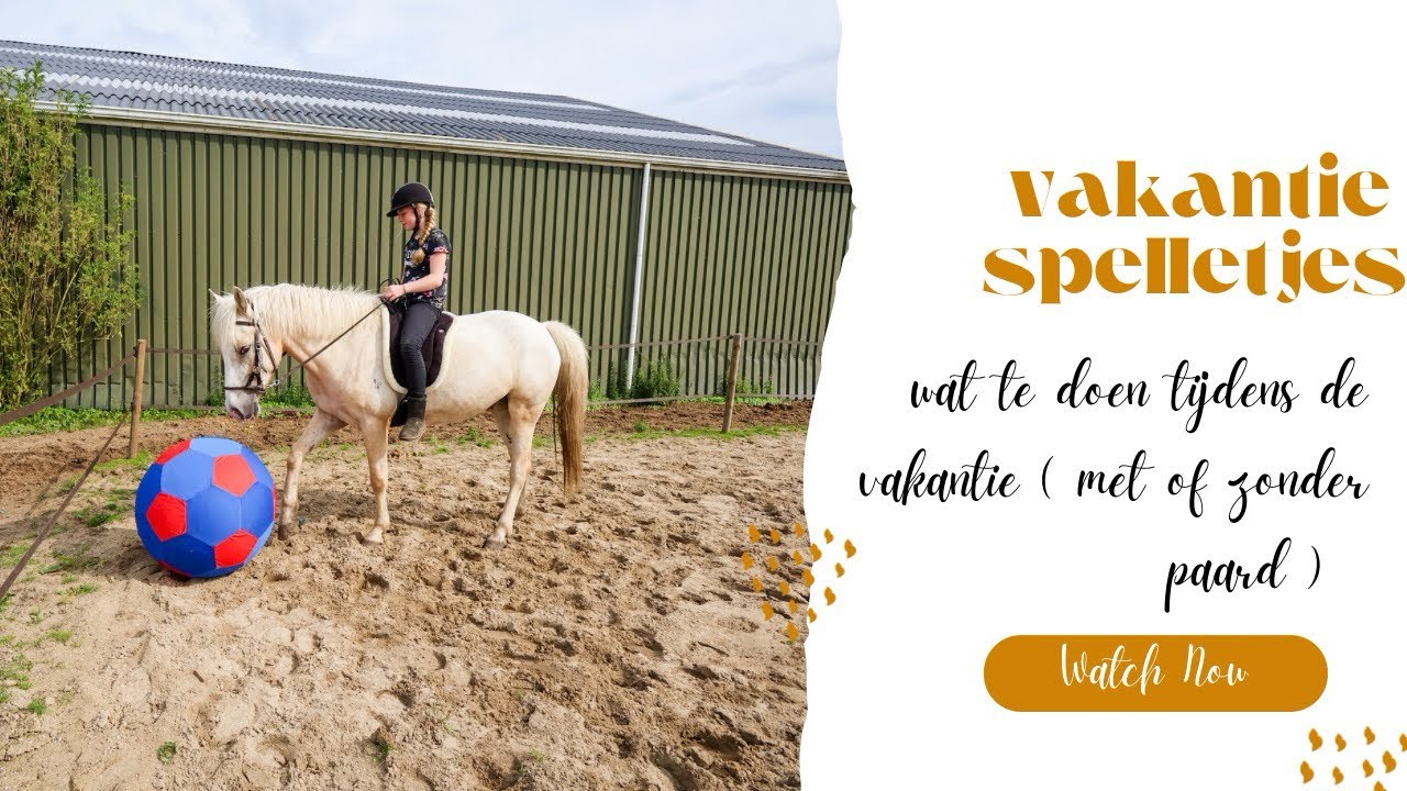 VAKANTIE SPELLETJES met of zonder paard