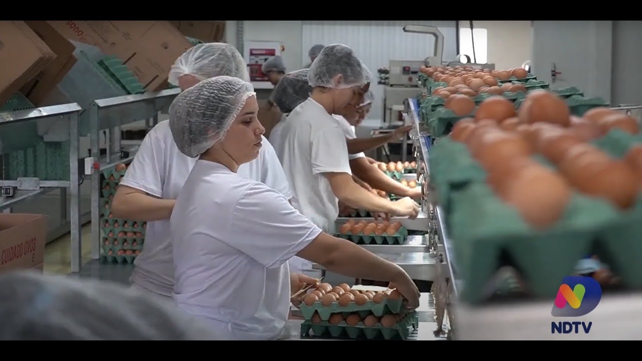Agro Saúde e Cooperação - Produção de Ovos