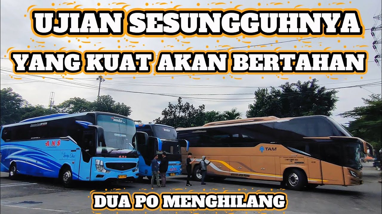 SIAPAKAH YANG AKAN BERTAHAN DI LIGA TRANS SUMBAR ?? MENAHAN RASA SEPI PENUMPANG 🥵