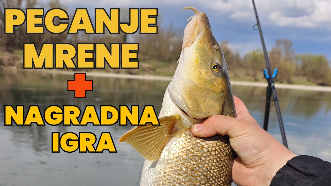 SAVA I MRENE - POGODI KILAŽU I OSVOJI NAGRADU🎁