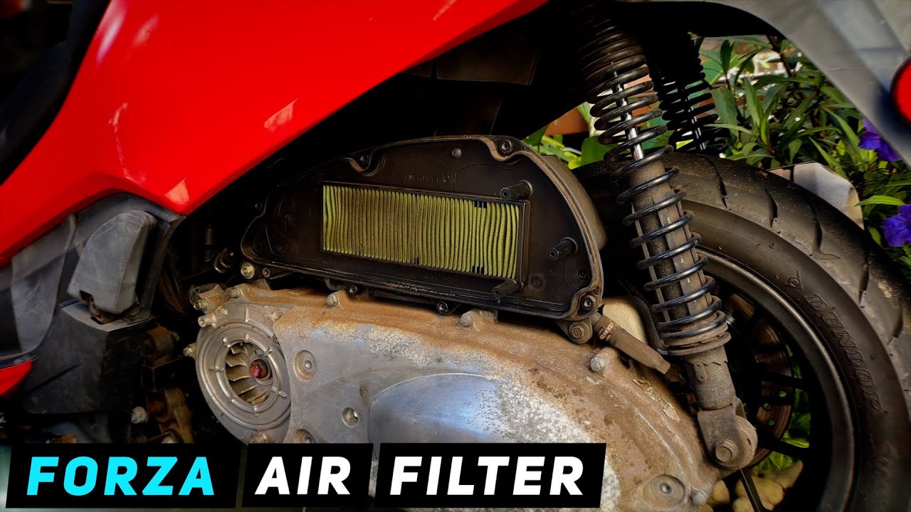 Honda Forza 300 - Air Filter / Air Box Service | Mitch's Scooter Stuff