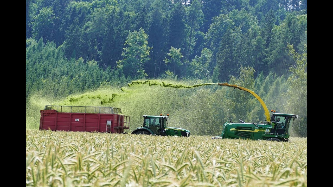 BIG RYE SILAGE 2019 | Senáže žita 2019 | John Deere 7450 ProDrive & Claas Jaguar 960 JOHN DEERE TEAM