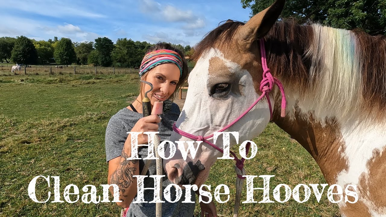How To Clean Horse Hooves