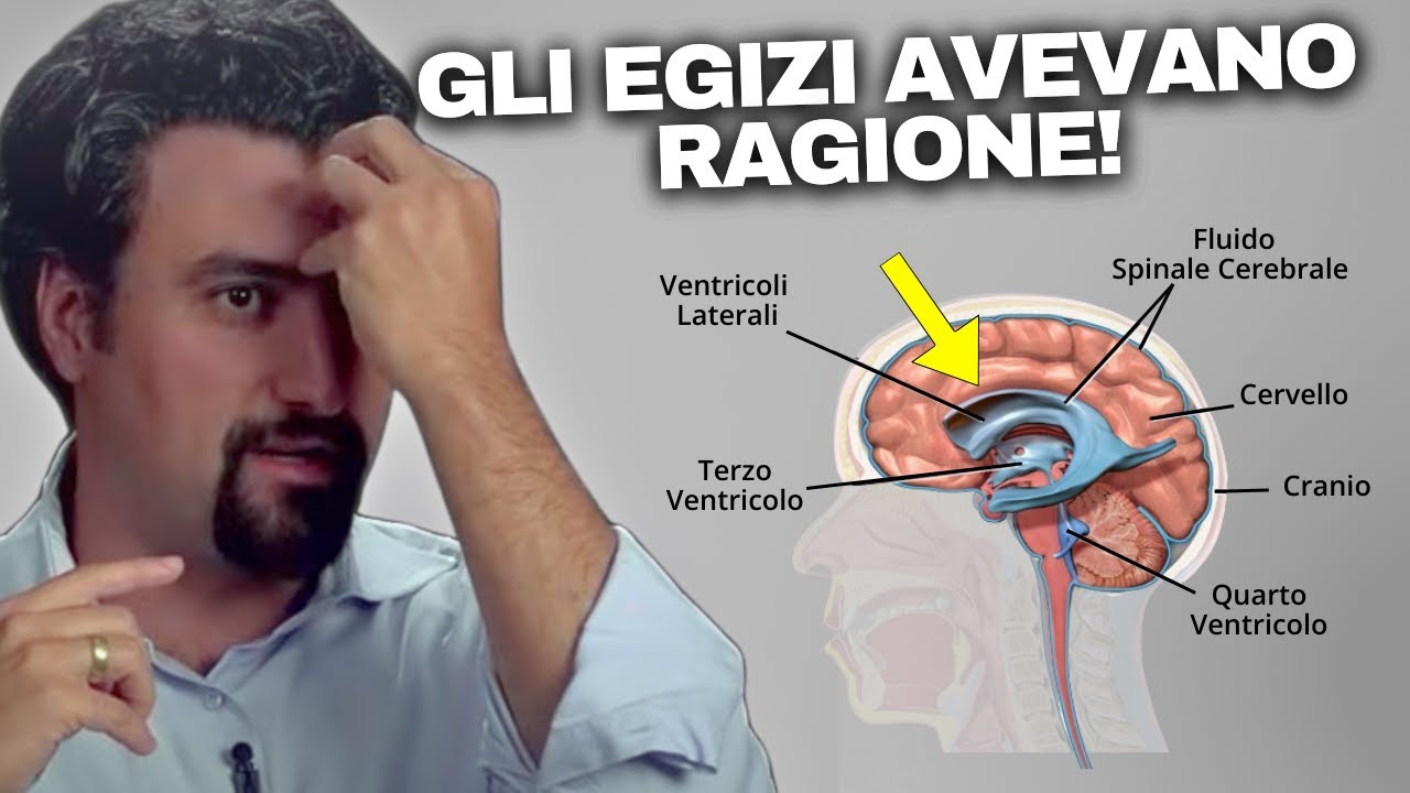Questo esperto di Harvard mostra come attivare il tuo terzo occhio