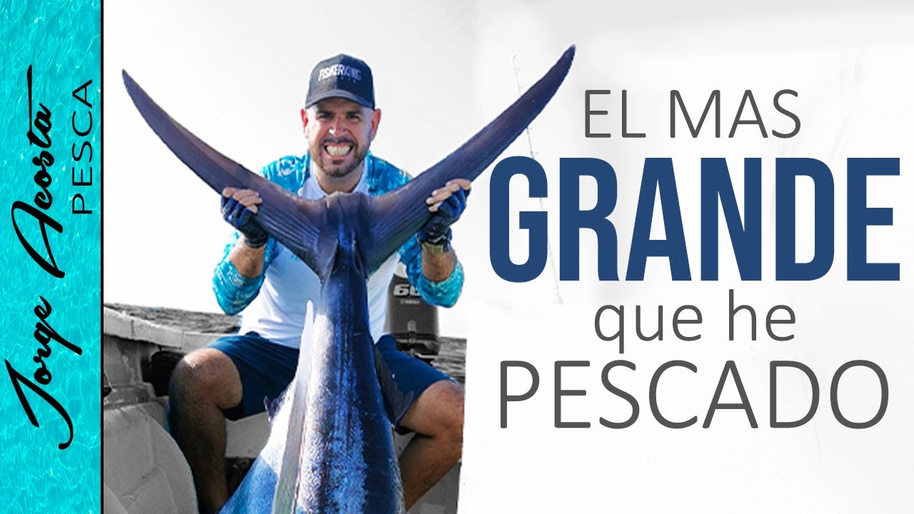 MARLIN AZUL - Más de 300 libras!! - Pesca en ALTA MAR