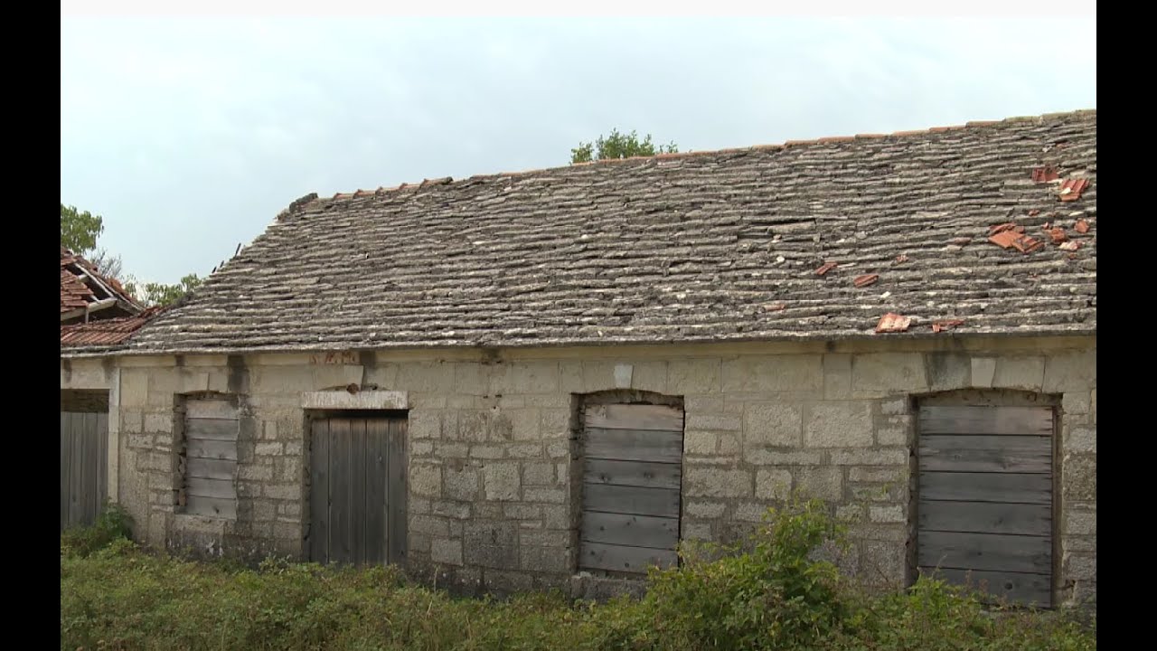 Bjelina