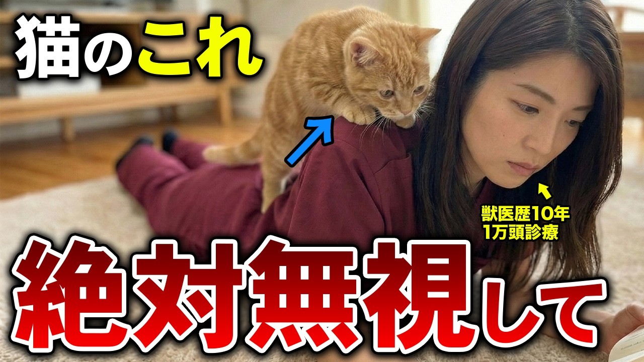 【獣医が警告】あなたの猫がやっていたら“絶対に”無視すべき行動10選