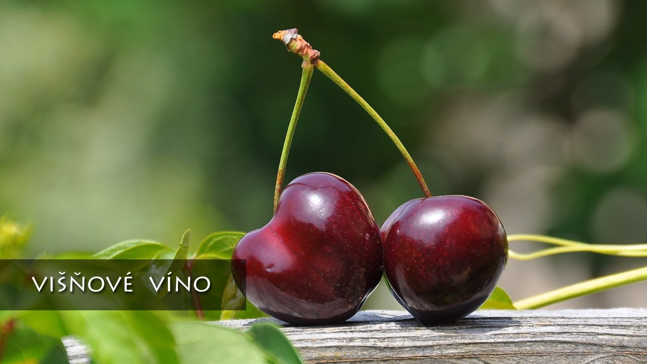 recept na domácí višňové víno - 1. část