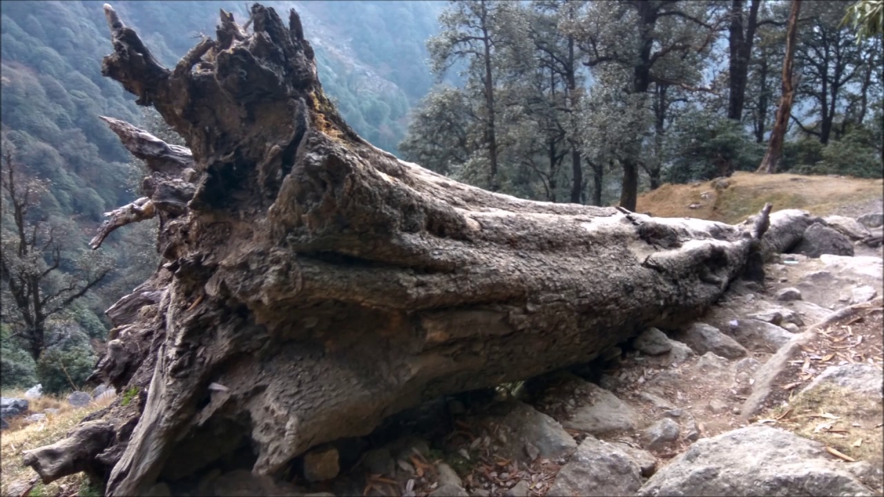 Journey is the destination: Triund-Kareri Lake Trek