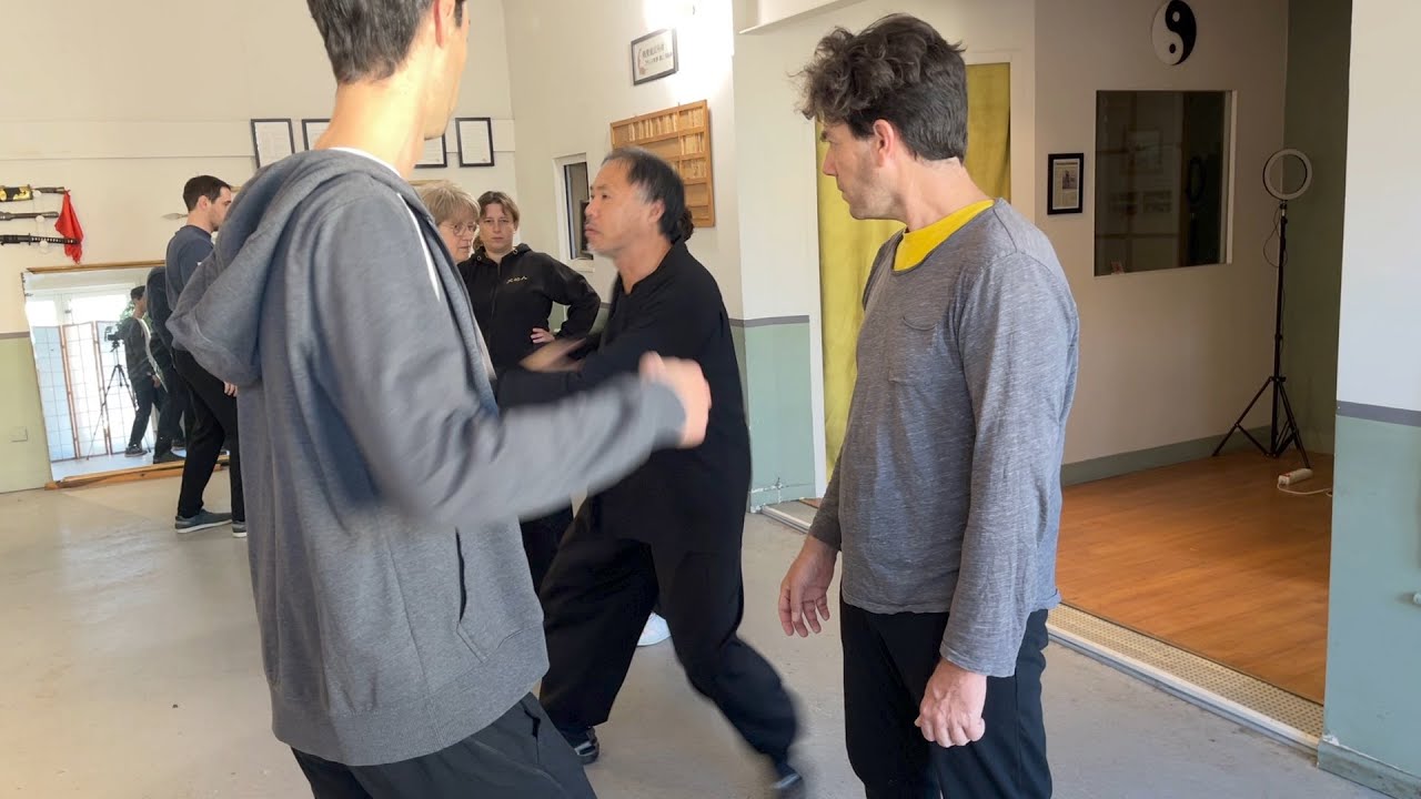 Coups de poing en Taichi Chuan - deux mécanismes majeurs : style Chen et style Yang