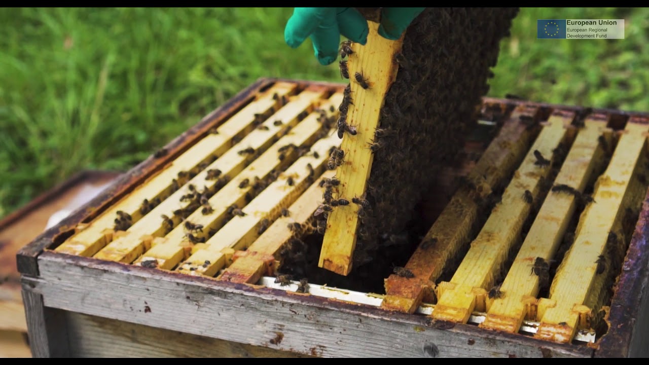 Agri-Tech at Pershore College