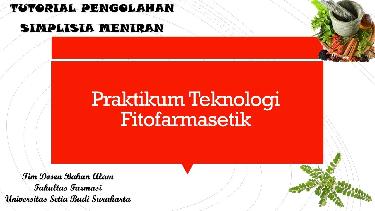 Pembuatan Ekstrak Meniran | Pengolahan Simplisia Meniran | Metode Maserasi | #universitassetiabudi