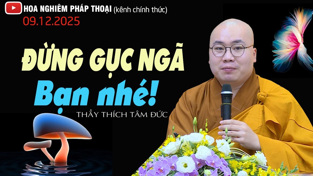 ĐỪNG GỤC NGÃ BẠN NHÉ  Huê Ngiêm 09 12