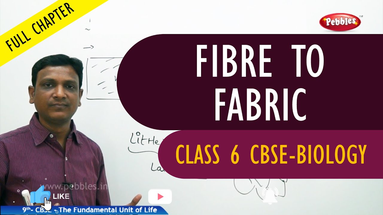 FIBRE TO FABRIC full chapter | Biology | Class 6 | CBSE Syllabus
