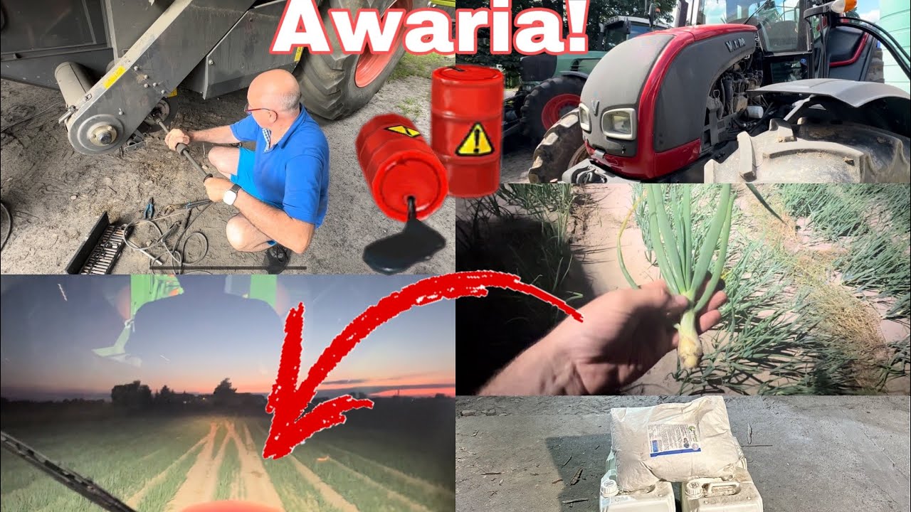 #781- Przygotowania do żniw! Serwisujemy! Czy zaorałem cebulę? Wjazd z fungi w ziemniaki i cebulę!