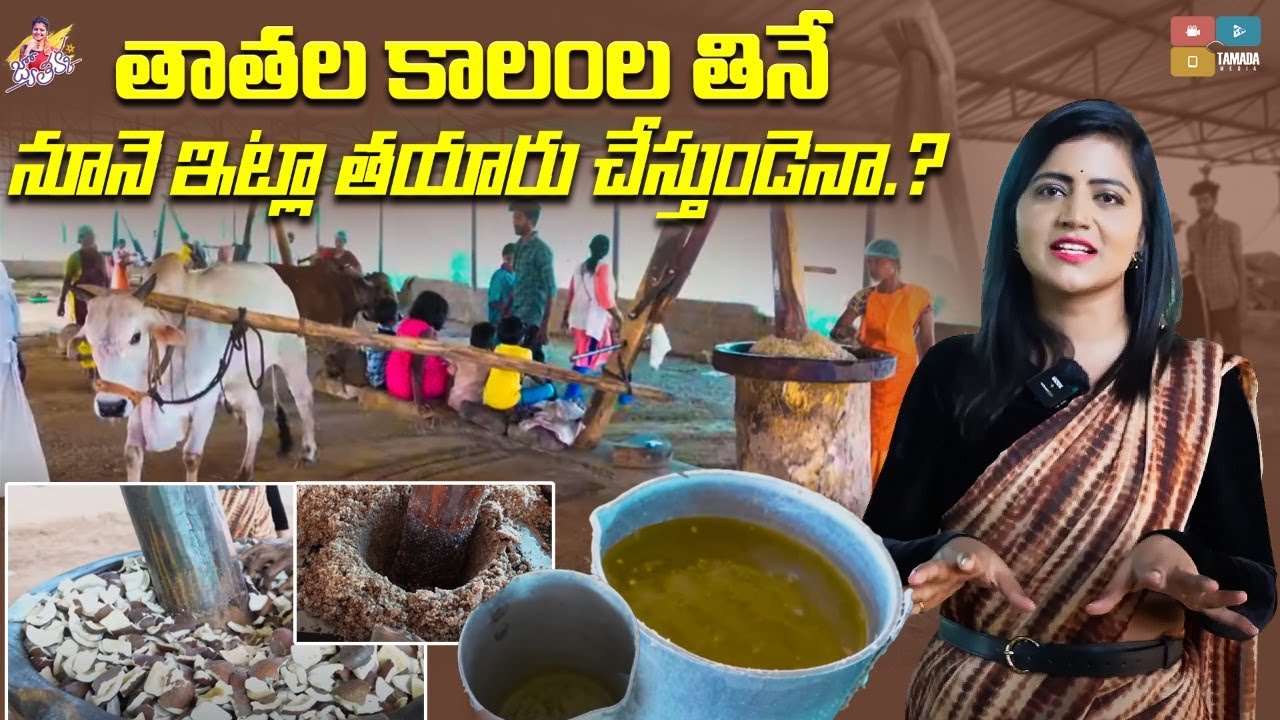 Cold Pressed Oil Making | తాతల కాలంల తినే నూనె ఇలా తయారు చేస్తుండెనా?| Jyothakka | Shiva Jyothi