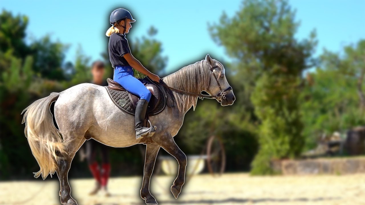 PREMIÈRE FOIS LACHÉS ET AU TROT ! 😮 - Débourrage de Gare à Toi