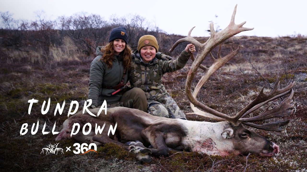 THE WANDERER | Youth Caribou Hunt - Stuck N The Rut 221