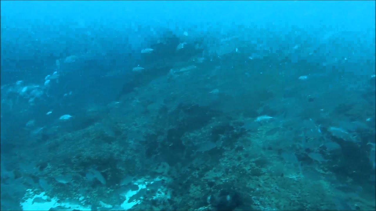 A Sail Rock taster, April 2015