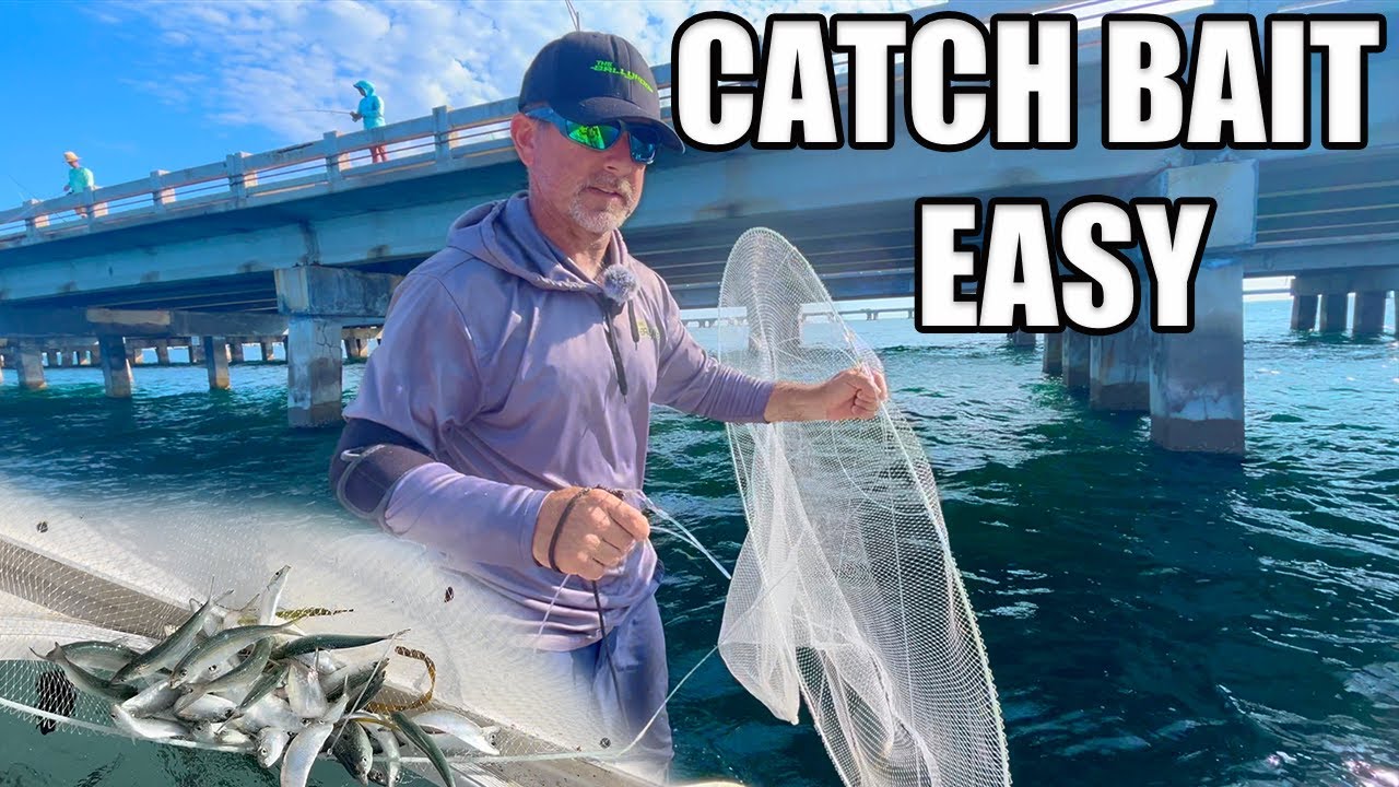 How To Catch Bait In Tampa Bay Without A Cast Net: The Bally Hoop Net!