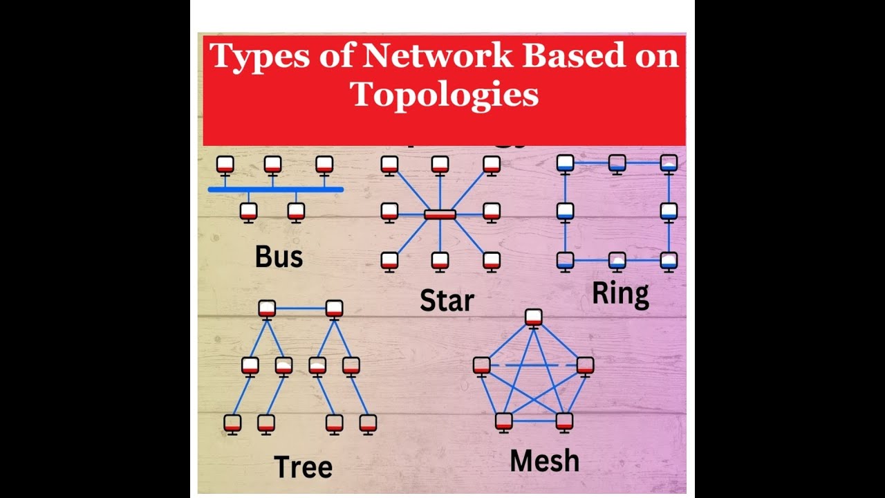 Types of Network Based on Topologies