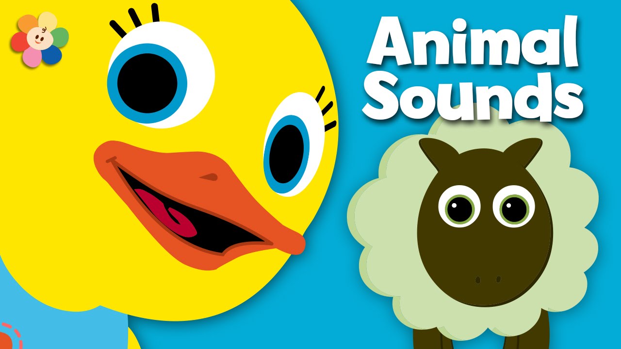 Learn Animals | Tillie the Duck | BabyFirst TV