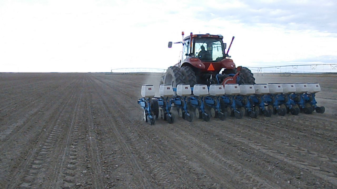 Vacuum seed planting of Hemp 2019