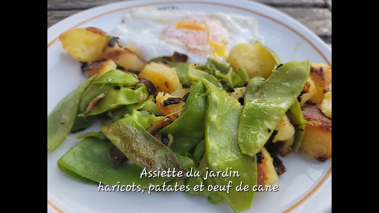 Hebdo'MaTerre S20 - 🦆Canards, 🔥Structure d'ombrage en bambou, Keyhole, astuce courgettes