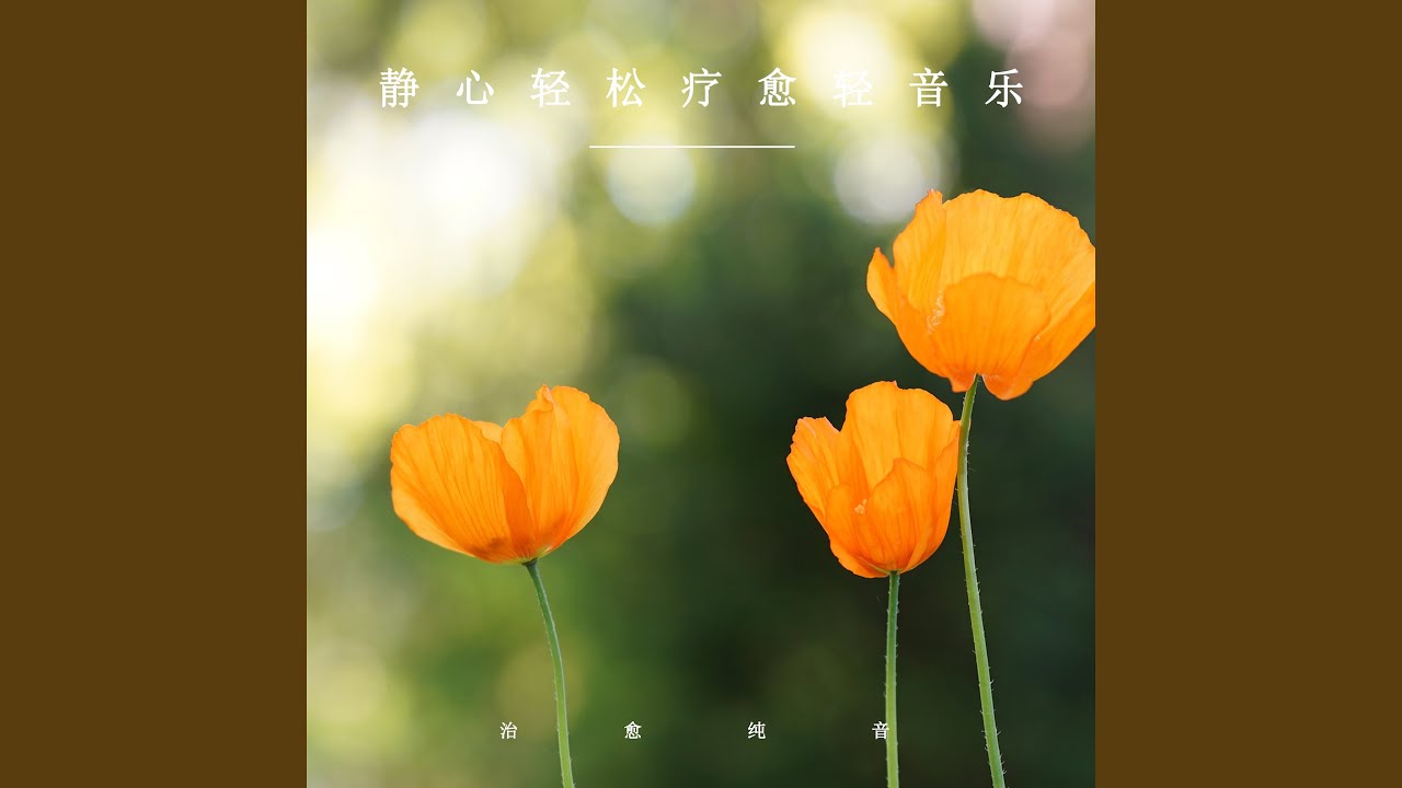静心轻松疗愈