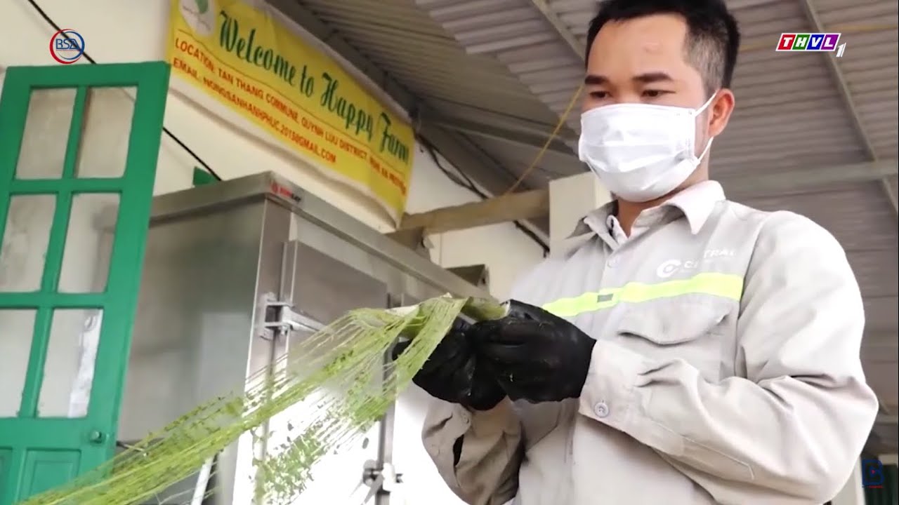 Đưa tơ sợi lá dứa Việt Nam đến thị trường Châu Âu