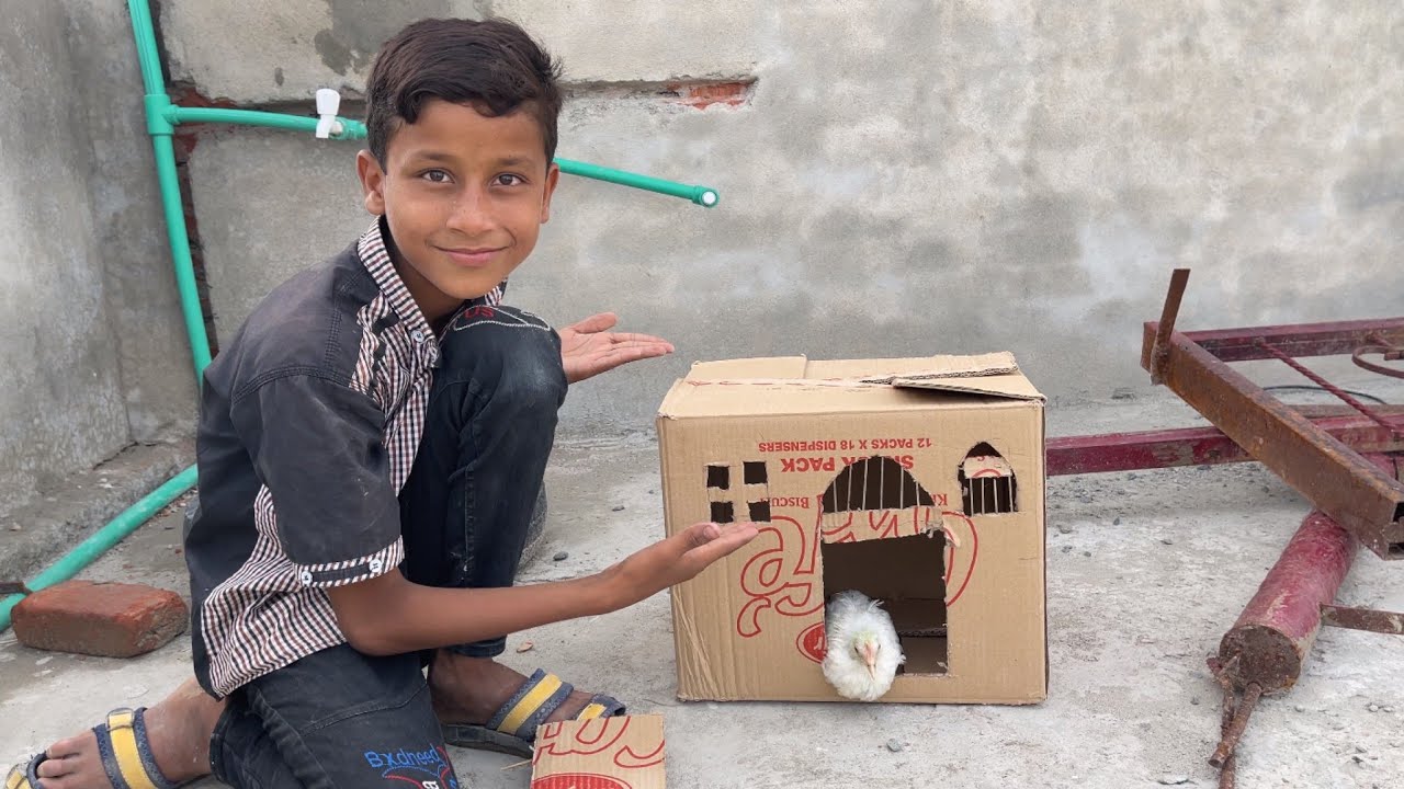 New House For Chick / Dawood Sabir Vlogs