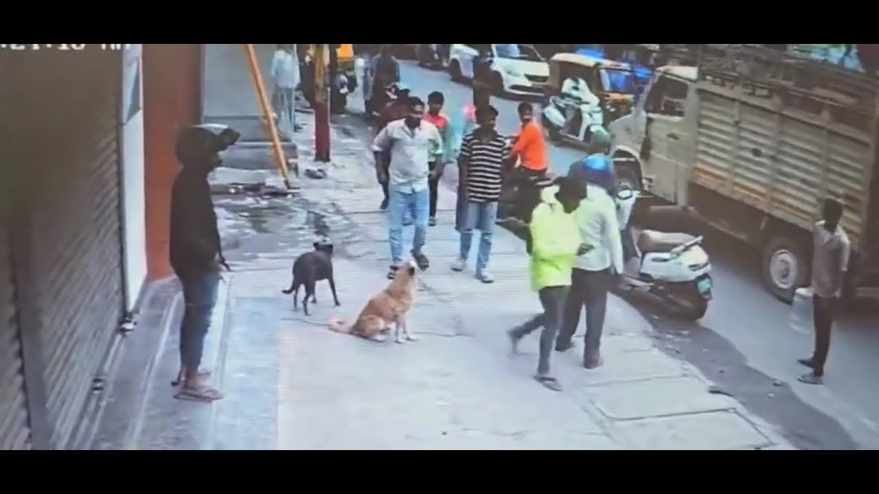 WING COMMANDER CASE The scene of an officer attacking a youth was captured in CC camera