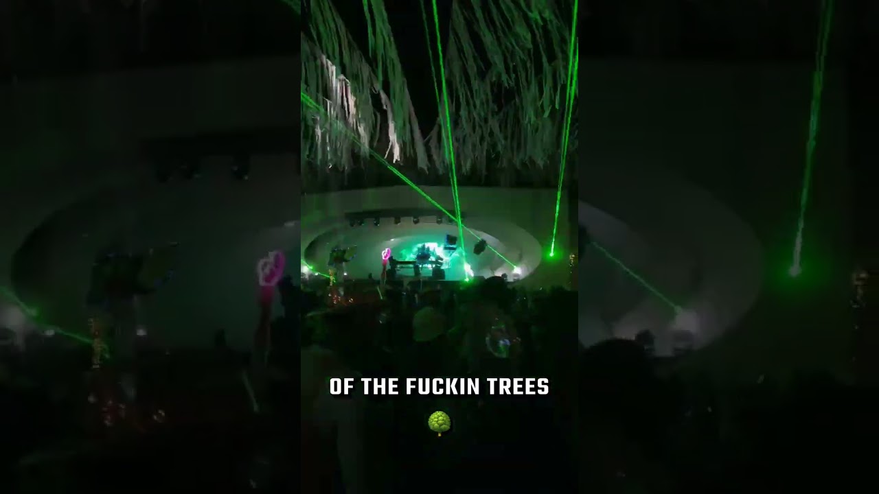OF THE TREES @ Bass Coast 2024